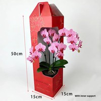 Boîte cadeau autoportante en papier kraft découpé pour bougie et portefeuille, motif orchidée en pot, portable