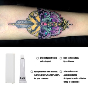 Vente en gros de produits de tatouage de haute qualité, crème blanche pour tatouage à 85%, pigment de maquillage pour tatouage des sourcils et des lèvres - Product Image 2