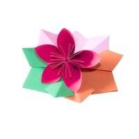 180gsm/220gsm Color Cardboard Paper Color Bristol Paper in Sheet or Roll