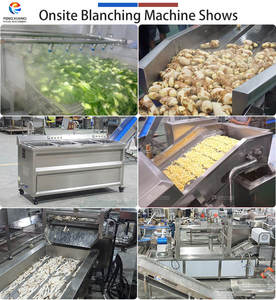 Machine industrielle de blanchiment de fruits à l'eau chaude PT-1000 en acier inoxydable 304 - Product Image 4