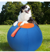 Balle de troupeau pour chien-Jouet d'entraînement et d'exercice gonflable en polyester de couleur unie durable pour animaux de compagnie