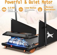 Tapis roulant électrique pour chien avec grand écran LCD, équipement d'exercice pour animaux de compagnie, pliable, pour l'intérieur et l'extérieur