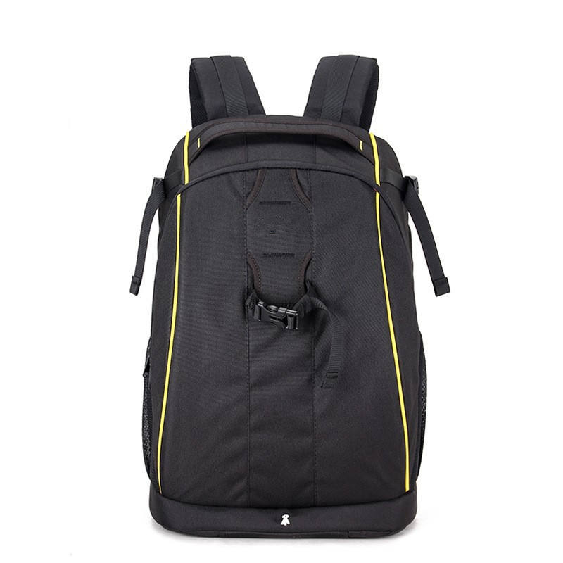 Petit jaune de 10ème génération