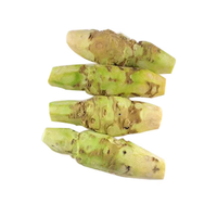 Shan Kui Gen Technique sèche naturelle Eutrema Japonicum frais raifort japonais/racine de wasabi pour condiment piquant