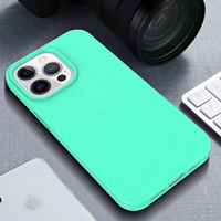 Usine de gros de paille de blé écologique pour iPhone 16 Pro Max 15 14 Pro étui biodégradable recyclé couverture de téléphone écologique