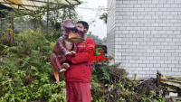 Küçük Animatronic dinozorlar kukla t-rex bebek Dino kukla