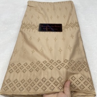 Tissu en dentelle polonaise blanche 100 % coton africain 2025 – Voile suisse de haute qualité pour hommes – Tissu en dentelle suisse