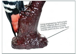 Modelo de anatomía de pájaro carpintero, exhibición detallada de la morfología de aves para la educación en biología y la popularización de la ciencia - Product Image 3