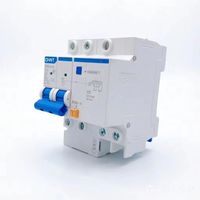 CHINT Haute Qualité NXBLE-63 2P C 50-60A RCBO avec Matériau PA66 et Capacité de Coupure de 6kA