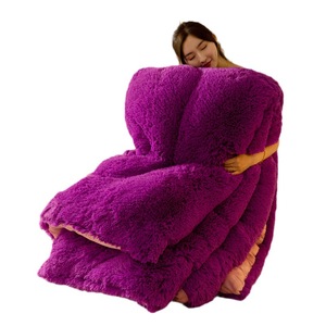 Edredón de Invierno Grueso y Cálido de Color Sólido, Edredón de Terciopelo, Edredón Esponjoso - Product Image 2