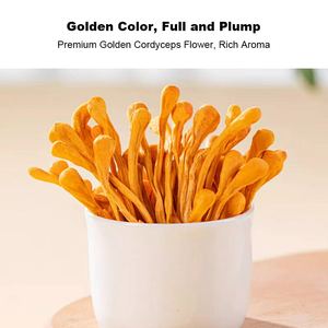 Flor <span class=keywords><strong>de</strong></span> Cordyceps Dorada <span class=keywords><strong>de</strong></span> Alta Calidad, Flor Natural <span class=keywords><strong>de</strong></span> Cordyceps Militaris Amarilla, Cordyceps <span class=keywords><strong>Cabeza</strong></span> <span class=keywords><strong>de</strong></span> Leopardo, <span class=keywords><strong>Hongo</strong></span> Comestible - Product Image 5