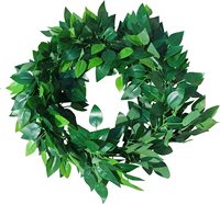LY 12 Buah Daun Ficus Beraneka Ragam Buatan Tanaman Hijau Cabang BenjaminaTree (Hijau & Putih)
