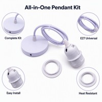 Kit de suspension de plafond CE, mini luminaires suspendus vintage, cordon noir, douille E26 E27, support de lampe DIY réglable, garantie