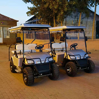 Voiturette de golf électrique 3-4 places, véhicule utilitaire, batterie au lithium, autonomie de 90 km, vitesse maximale de 50 km/h, pneus tout-terrain robustes