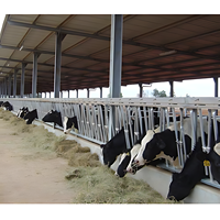 2024 Structures en acier portables de conception moderne pour l'élevage de volailles poulet vache mouton porc Cages équipement d'élevage bâtiment agricole