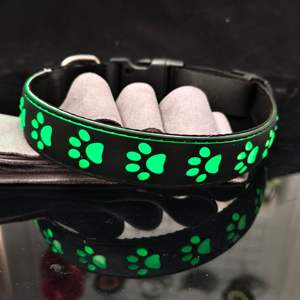 Coleira de Cachorro <span class=keywords><strong>LED</strong></span> de Luxo Recarregável USB HY <span class=keywords><strong>2026</strong></span> Nova e Mais Recente com Fitas e Padrão Sólido para Segurança Noturna Ajustável e com Luzes Piscantes - Product Image 4