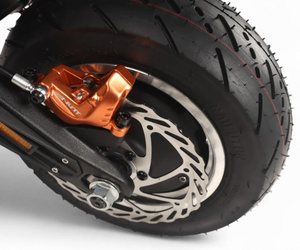 Nouveau modèle DUALTRON SONIC a (ALIEN) Personnalisation OEM/ODM - Product Image 5