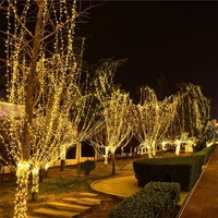 Guirlande lumineuse LED colorée étanche 24V basse tension effet ciel étoilé pour centres commerciaux et festivals
