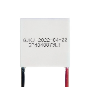 ชิปทำความเย็นเทอร์โมอิเล็กทริกแบบสั่งทำพิเศษ Sp4040079l1 ส่วนประกอบทำความเย็นแบบเซมิคอนดักเตอร์สำหรับอุปกรณ์อิเล็กทรอนิกส์ - Product Image 5