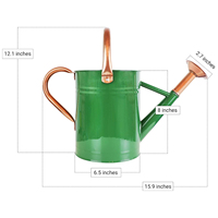 Arrosoir de jardin vintage noir de 1 gallon avec buse amovible, en métal galvanisé, pour plantes d'intérieur et d'extérieur