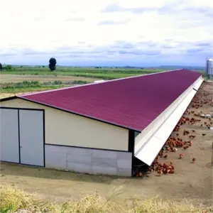 조립식 가벼운 강철 구조 농장 창고 디자인 육계 닭장 집 가금류 집
