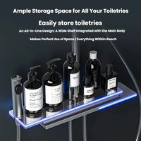 Système de douche filtrant à la vitamine C avec affichage LED de la température, commande par touches piano, étagère large et douche pluie surélevée
