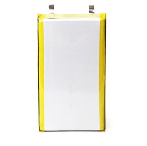 10000Mah Nh 9065113 Lifepo4 Semi-Solid State Hoge Capaciteit Energieopslag Mobiele Power Polymeer Batterij - Product Image 1