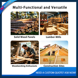 Raboteuse industrielle haute efficacité grande capacité <span class=keywords><strong>pour</strong></span> la production <span class=keywords><strong>en</strong></span> série <span class=keywords><strong>en</strong></span> atelier de menuiserie, faible bruit, performance stable, longue durée de vie - Product Image 4