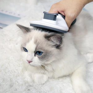 Offre Spéciale Peigne pour animaux de compagnie peigne à décoloration automatique peigne à aiguille en acier inoxydable chat nettoyage pour animaux de compagnie nécessités quotidiennes - Product Image 4