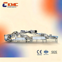 Complete Maker Plant voor het maken van verse aardappelchips, productielijn voor aardappelchips