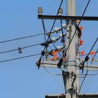 Répulsif intelligent à ultrasons pour oiseaux, alimenté par énergie solaire, en ABS, étanche, écologique, avec technologie sonore et lumineuse, durée de vie 3-5 ans