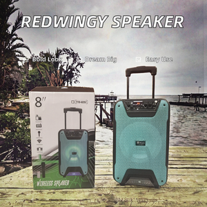 Enceinte de karaoké DJ extérieure rechargeable Redwingy TTD-8257 active de 8 pouces avec caisson de basses, microphone, grand son, lumières LED - Product Image 2