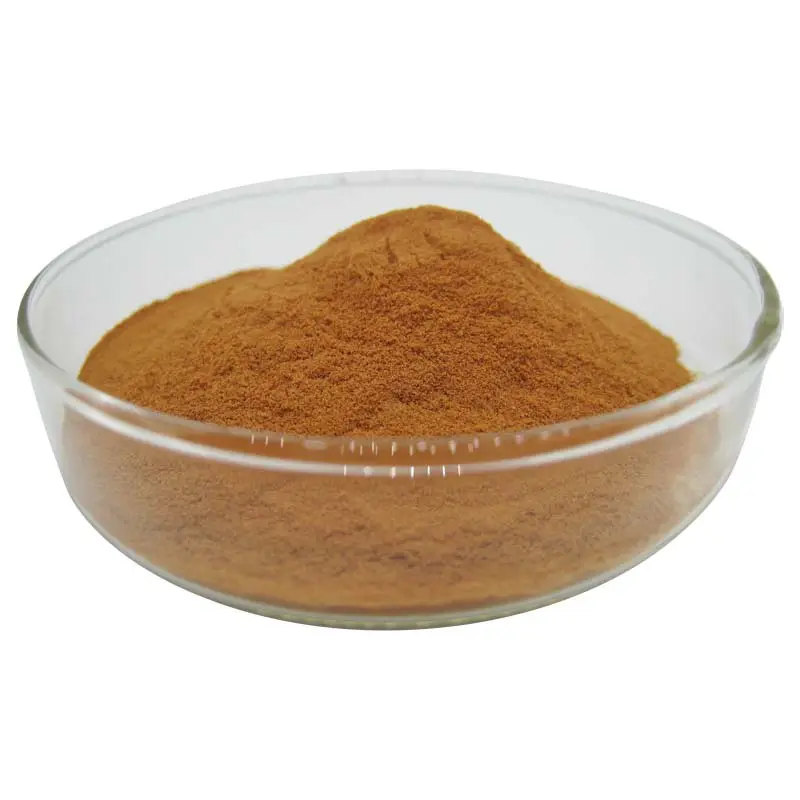 Hot bán nước hòa tan Hạt tiêu đen chiết xuất 10:1 Piperine bột CAS 94-62-2