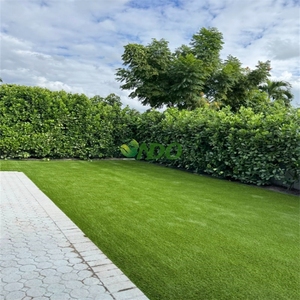 <span class=keywords><strong>Gazon</strong></span> synthétique de haute qualité Ondo pour aménagement paysager, pelouse artificielle pour jardin, <span class=keywords><strong>gazon</strong></span> artificiel vert, tapis d'extérieur - Product Image 5