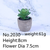 Plantes succulentes bonsaï Cactus en pot, fausses plantes vertes pour décoration de jardin, maison