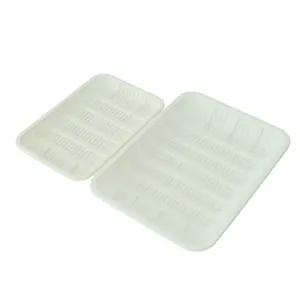 Degradable Compostable Disposable Pla Cornstarch Environmental Friendly Food Trays