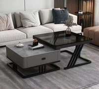 Table basse moderne en acier inoxydable pour salon avec rangement, design écologique et durable