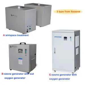 Factory Supply Industry Ozonee Generator Drinking Water Ozonee Generator Hot Sale Remote Control Ozonee Generator