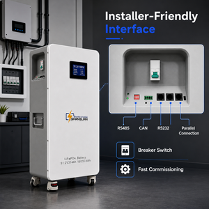 Batería de Almacenamiento de Energía Doméstica de 51.2V 314Ah 16kWh, 6000 Ciclos, 5 Años de Garantía, Monitoreo en la Nube, WiFi, BMS Inteligente, ESS Solar Móvil, Stock en la UE - Product Image 5