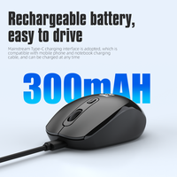 Pabrik Cina Siap Kirim Mouse Nirkabel 2.4G Portabel Isi Ulang dengan Sensor Optik 4D Ringan 1600 DPI untuk Rumah dan Kantor