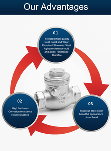 Brandbeveiliging, industriële, gemeentelijke en bouwwaterkleppen: serie van roestvrij staal en ductiel ijzer - Product Image 3