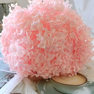 Flores Naturales <span class=keywords><strong>Preservadas</strong></span> y Secas de Alta Calidad a Precios Bajos, Hortensia Anna para Decoración de Bodas, Decoración del Hogar, Arreglos Florales - Product Image 1