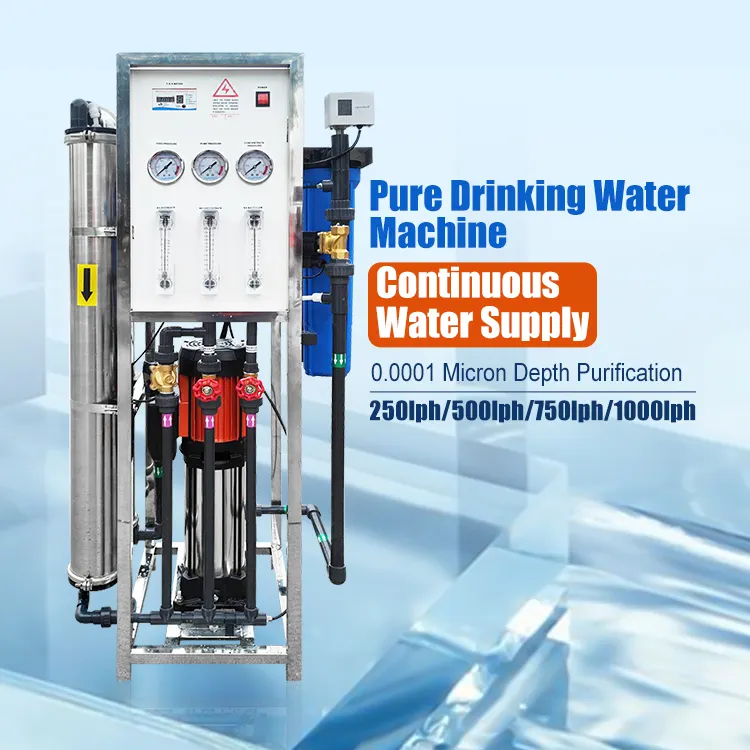 Sistema de tratamiento de agua de alta calidad 250LPH pequeño dispositivo de purificación de agua para la producción de agua potable