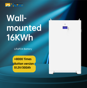 Hysonn <b>Wall</b> Mounted 10000 Cycle Lithium Battery 5Kwh 10Kwh 11.7Kwh 15Kwh 16Kwh 30kWH Home Energy Storage System - Product Image 1