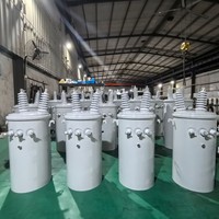 Transformateur de distribution monophasé immergé dans l'huile, monté sur poteau, 25 kVA, 13,8 kV, 120/240 V, pour les systèmes électriques des services publics