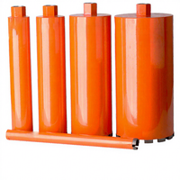 Foret diamanté multi-usage 25-700 mm pour béton humide avec SDS PLUS pour armatures et maçonnerie