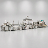 Apparatuur voor de verwerking van aardappelchips, 500 kg per uur, inclusief wassen, snijden, drogen, frituren, ontvetten, koelen en verpakken.
