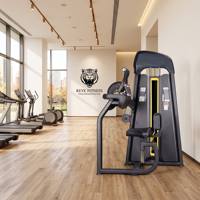 Machine de musculation professionnelle de haute qualité pour salle de sport, à charge libre, pour curls biceps/extensions triceps