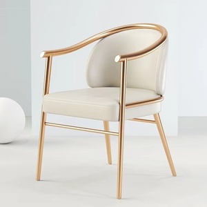 <span class=keywords><strong>Chaise</strong></span> de loisirs de luxe moderne pour la maison, la salle à manger, le bureau et le balcon thé pour les meubles de salon - Product Image 2