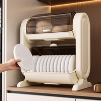 Égouttoir à vaisselle vertical à 2 niveaux en plastique PP moulé par injection avec bac de récupération, écologique, recyclable, portable pour bols et assiettes